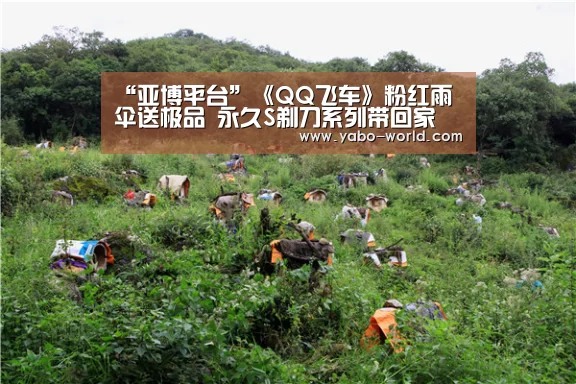 亚博官网