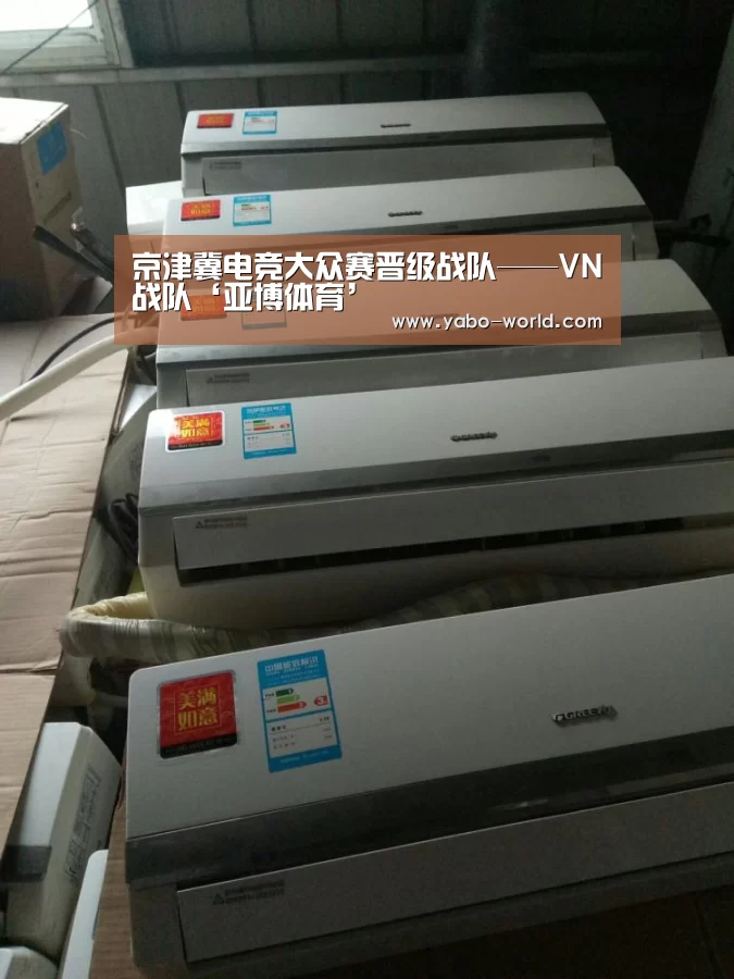 京津冀电竞大众赛晋级战队——VN战队‘亚博体育’(图3) 亚博体育
