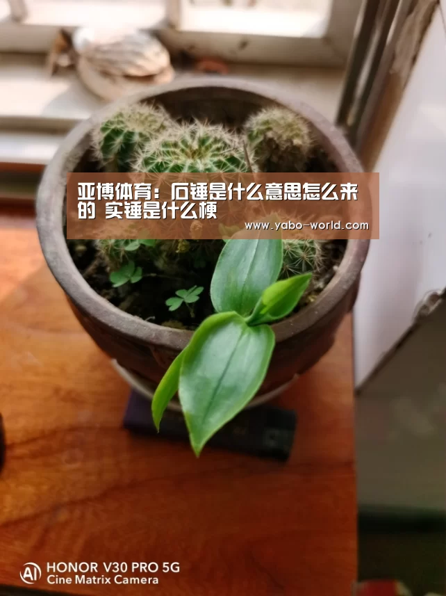亚博体育