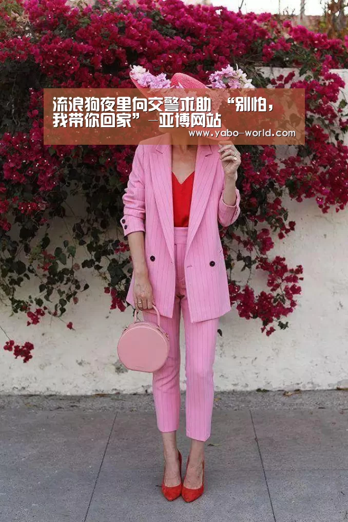 亚博网站
