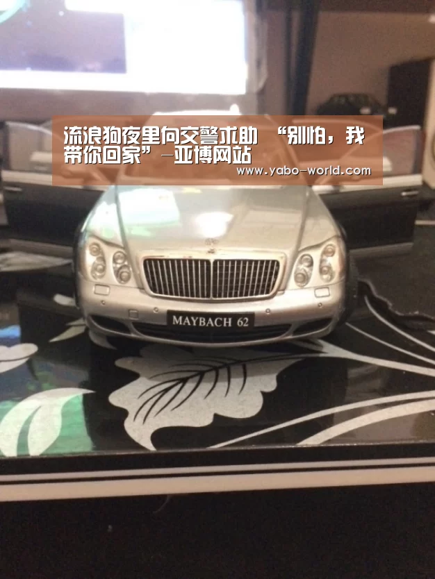 亚博网站